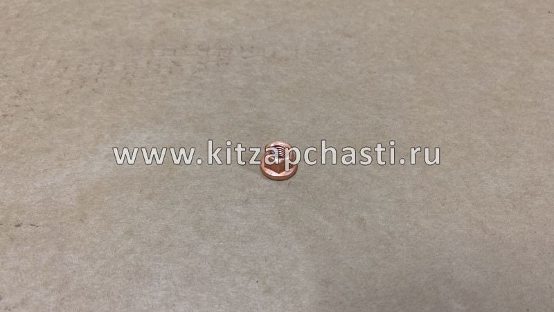 Гайка стопорная выпускного коллектора TANK 400 1008024EG01T